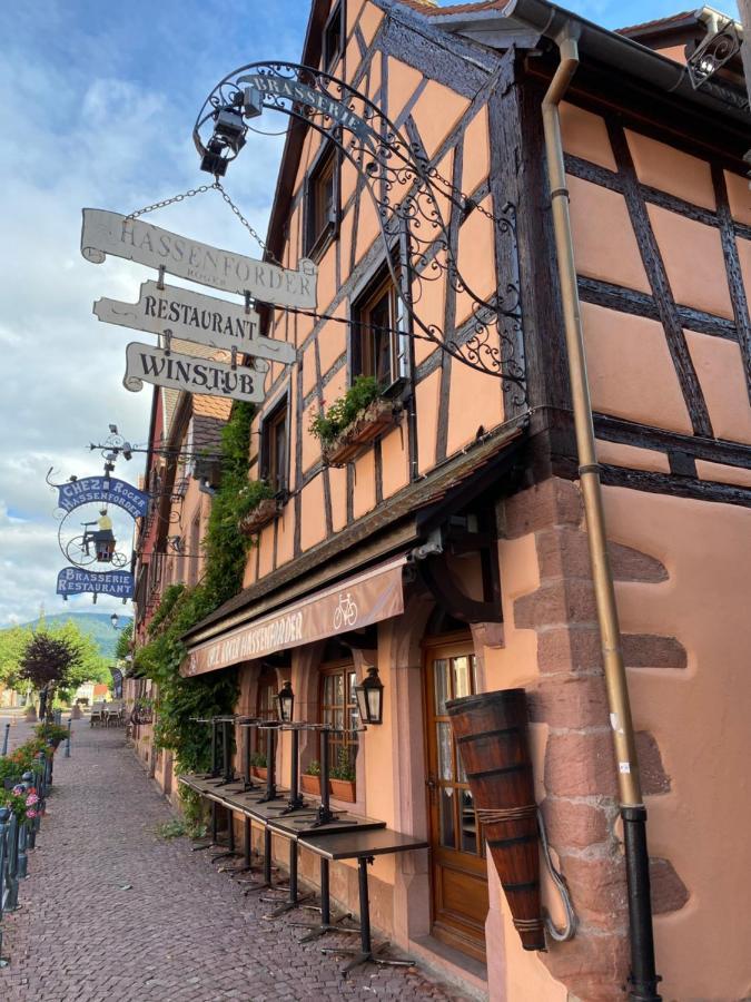 Appartement Le Chamois Kaysersberg-Vignoble Exteriör bild